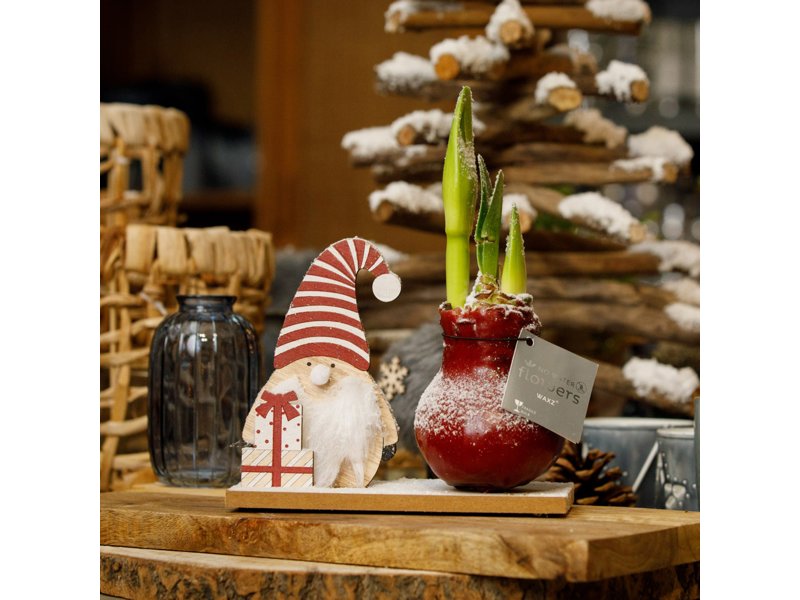 No Water Flowers® - Winter Wonderland No Water Flowers® - Winter Wonderland