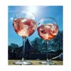 HappyGlass Miss Liza Gin-Tonic Glass Tritan 630 ml HappyGlass Miss Liza Gin-Tonic Glass Tritan 630 ml