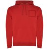 Roly hoodie Urban voor heren