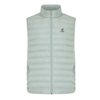 IQONIQ Meru heren gerecycled polyester bodywarmer