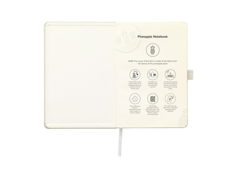 Pineapple Notebook notitieboek Pineapple Notebook notitieboek