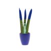 Sansevieria Topline® - Velvet Touchz® small Sansevieria Topline® - Velvet Touchz® small