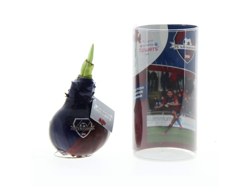 No Water Flowers® - Dipz angle No Water Flowers® - Dipz angle