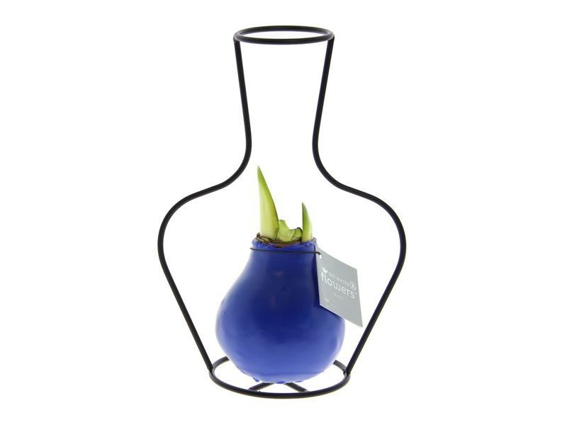 No Water Flowers® - Formz classic No Water Flowers® - Formz classic