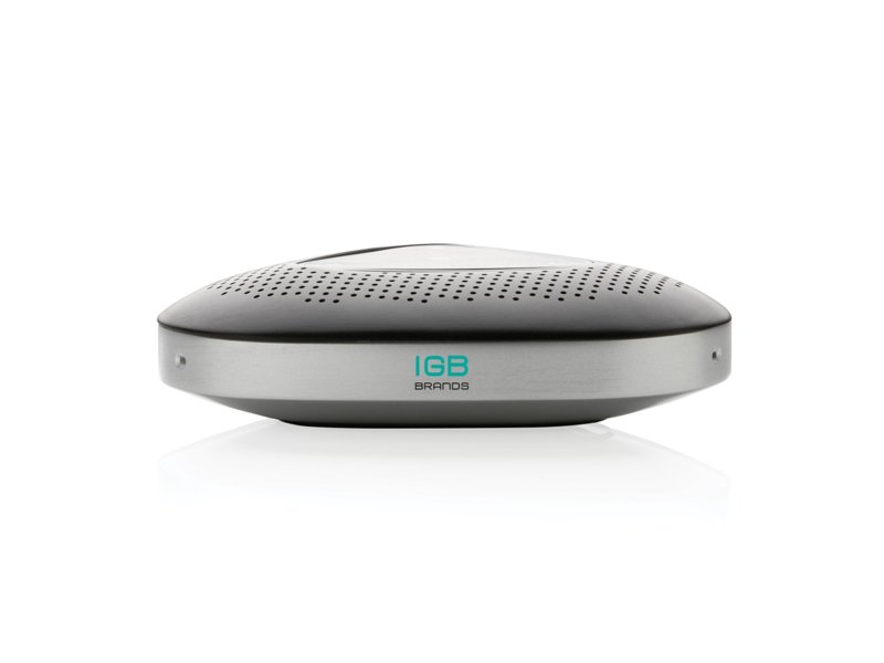 Conference call speaker Conference call speaker