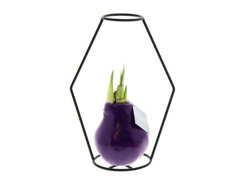 No Water Flowers® - Formz modern No Water Flowers® - Formz modern