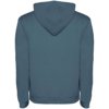Roly hoodie Urban voor heren