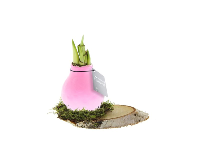 No Water Flowers® - Waxz® on wood No Water Flowers® - Waxz® on wood