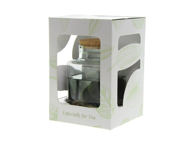 Marimo moss balls - octogoon