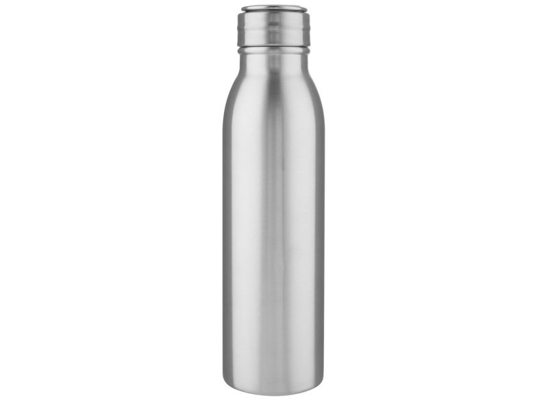 Harper 700 ml roestvrijstalen drinkfles met metalen lus Harper 700 ml roestvrijstalen drinkfles met metalen lus