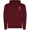 Roly hoodie Urban voor heren
