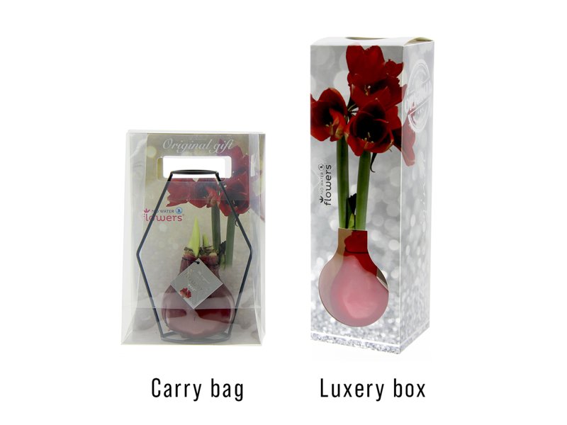 No Water Flowers® - Formz modern No Water Flowers® - Formz modern