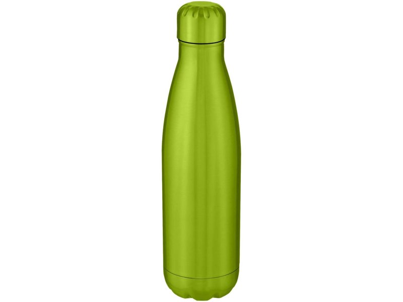 Cove vacuüm geïsoleerde roestvrijstalen fles van 500 ml Cove vacuüm geïsoleerde roestvrijstalen fles van 500 ml