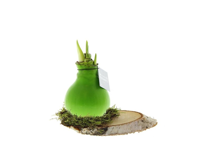 No Water Flowers® - Waxz® on wood No Water Flowers® - Waxz® on wood