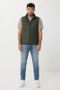 IQONIQ Meru heren gerecycled polyester bodywarmer