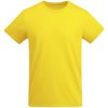 Roly t-shirt kids Breda