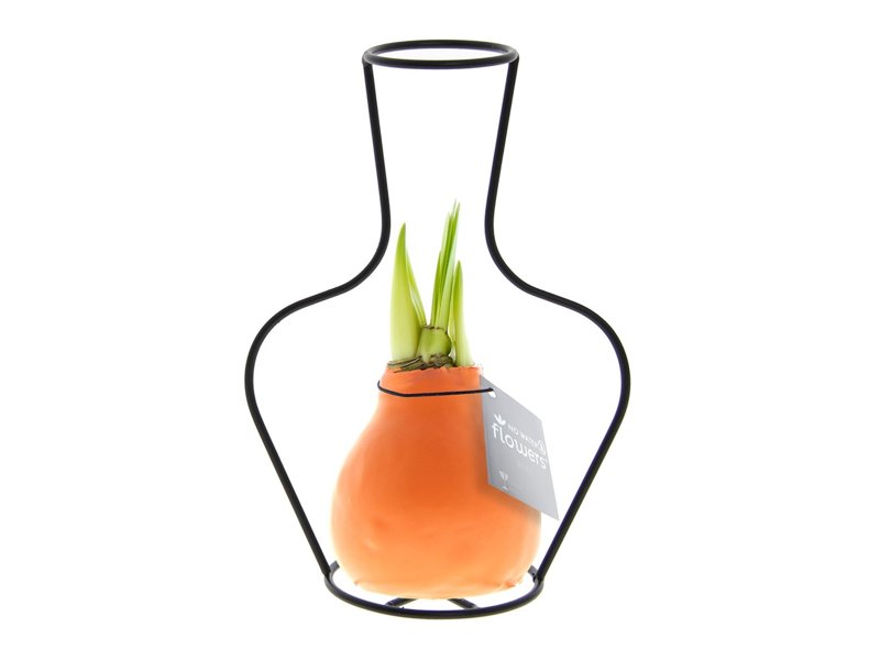 No Water Flowers® - Formz classic No Water Flowers® - Formz classic