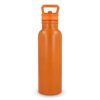Darion thermo fles 500ml Darion thermo fles 500ml