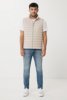 IQONIQ Meru heren gerecycled polyester bodywarmer