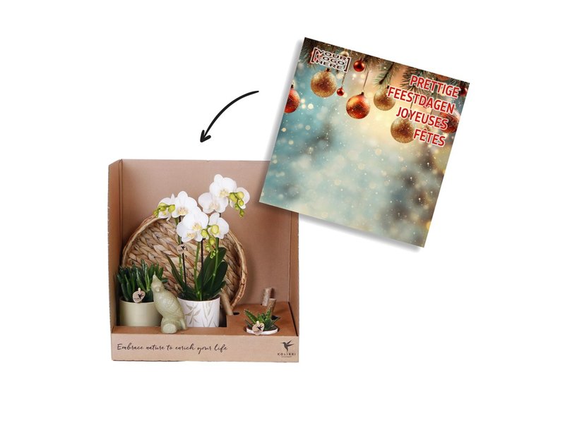 Botanical Giftset small - Luxury Gold Botanical Giftset small - Luxury Gold