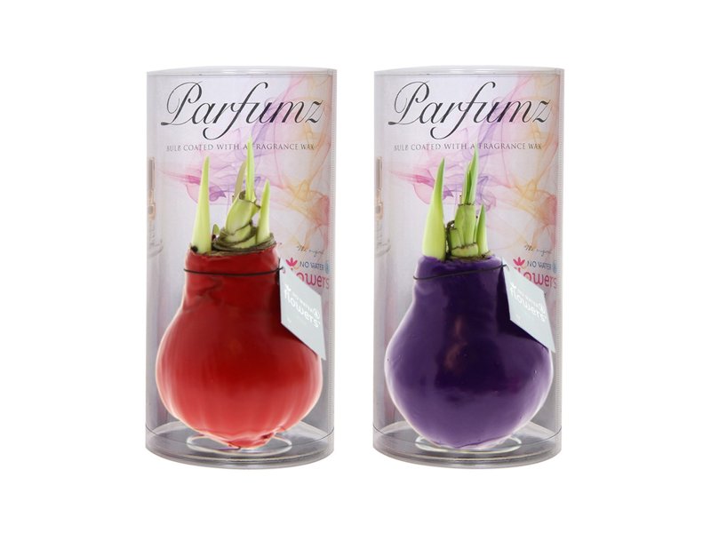 No Water Flowers® - Waxz® Parfumz No Water Flowers® - Waxz® Parfumz