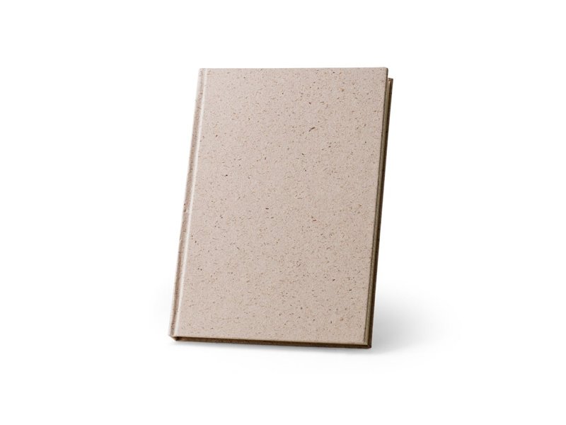 TEAPAD RIGID