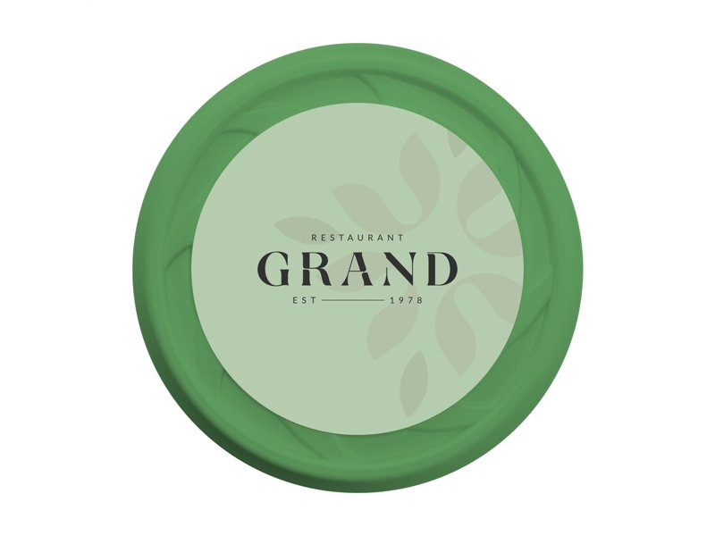 Recycled Plastic Frisbee Cool Model