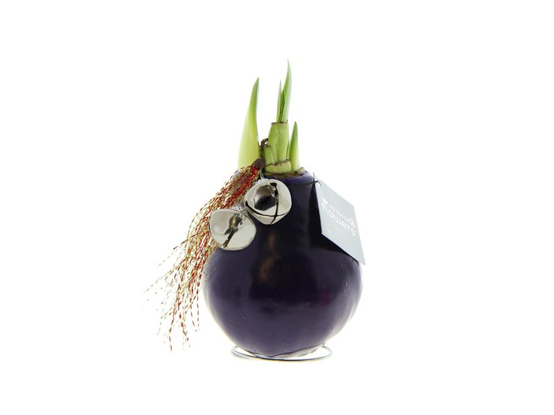 No Water Flowers® - Jingle Bellz No Water Flowers® - Jingle Bellz