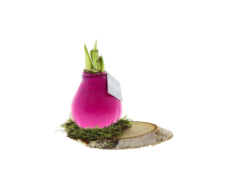 No Water Flowers® - Waxz® on wood No Water Flowers® - Waxz® on wood