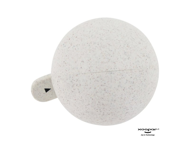 4129 | Xoopar Mr. Bio 25 Timer 4129 | Xoopar Mr. Bio 25 Timer