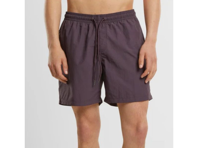 New Morning Studios  Swim Shorts