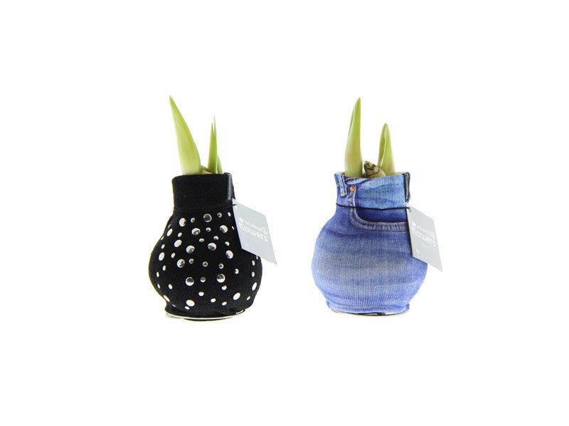 No Water Flowers® - Fashionz Streetlife