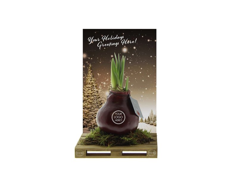 No Water Flowers® - Waxz® on pallet No Water Flowers® - Waxz® on pallet