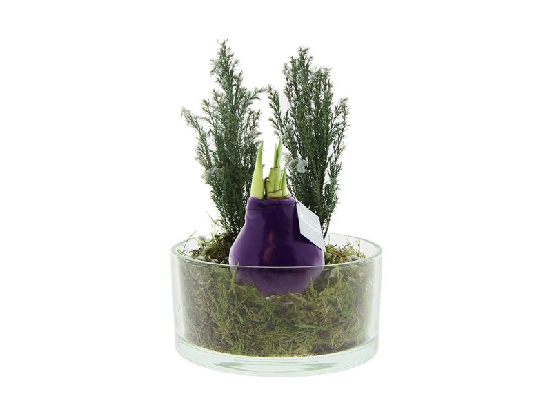 No Water Flowers® - Christmas glass elegance No Water Flowers® - Christmas glass elegance