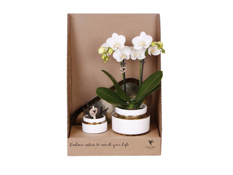 Botanical Giftset small - Luxury Gold Botanical Giftset small - Luxury Gold