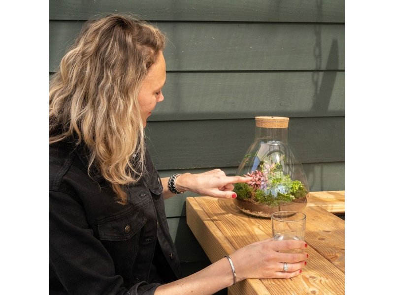 Wardians® ecosysteem - Erlenmeyer large Wardians® ecosysteem - Erlenmeyer large