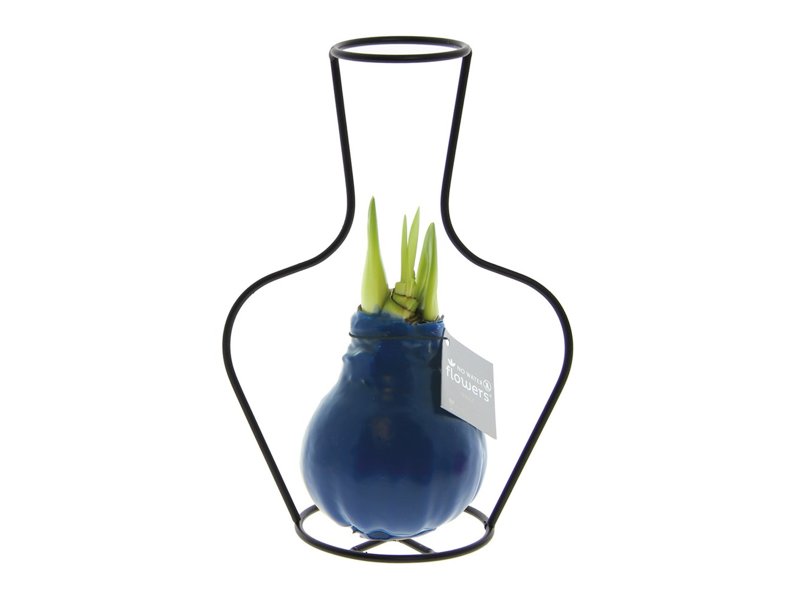 No Water Flowers® - Formz classic No Water Flowers® - Formz classic