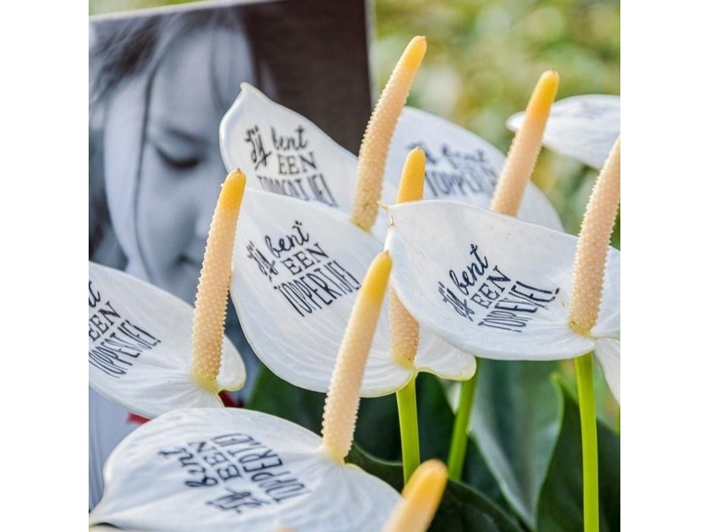 Message Printz® - Snijanthurium