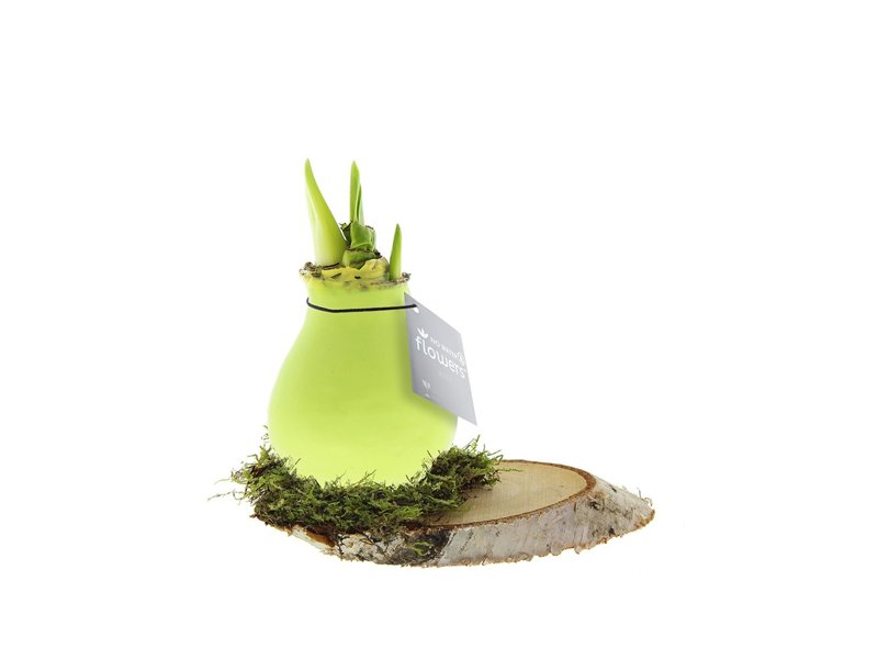 No Water Flowers® - Waxz® on wood No Water Flowers® - Waxz® on wood