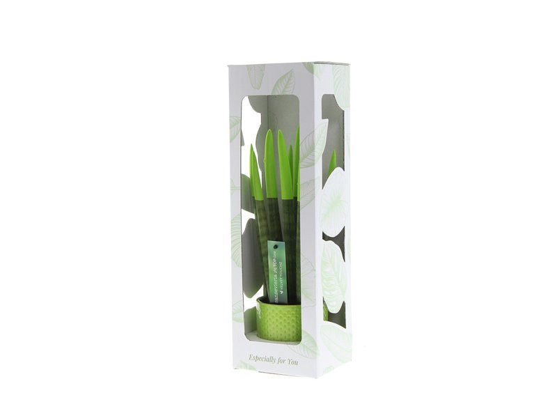 Sansevieria Topline® - Velvet Touchz® medium Sansevieria Topline® - Velvet Touchz® medium