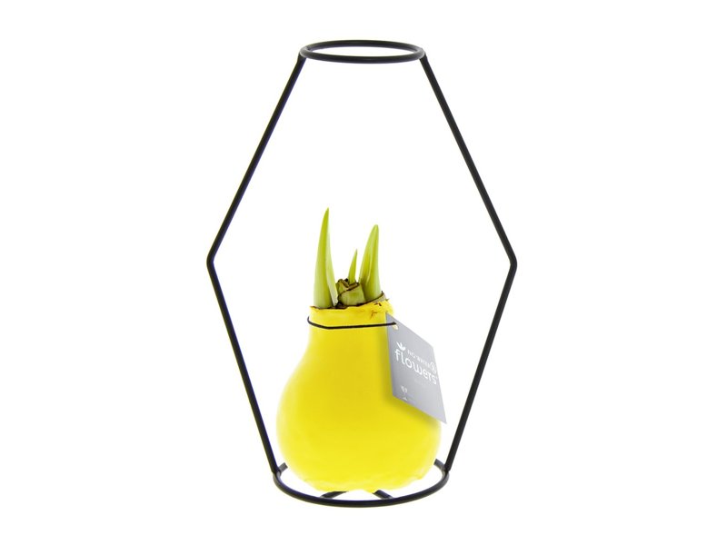 No Water Flowers® - Formz modern No Water Flowers® - Formz modern