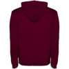 Roly hoodie Urban voor heren Roly hoodie Urban voor heren