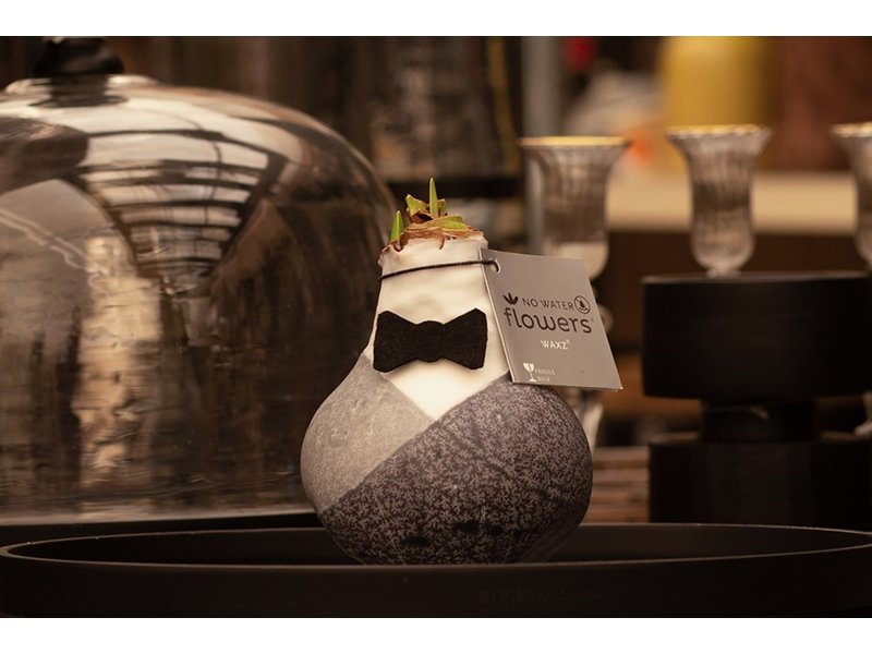 No Water Flowers® - Giletz Bowtie No Water Flowers® - Giletz Bowtie