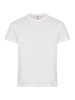 Basic t-shirts van Clique, ideaal om te bedrukken met uw logo Basic t-shirts van Clique, ideaal om te bedrukken met uw logo