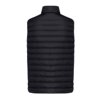 IQONIQ Meru heren gerecycled polyester bodywarmer