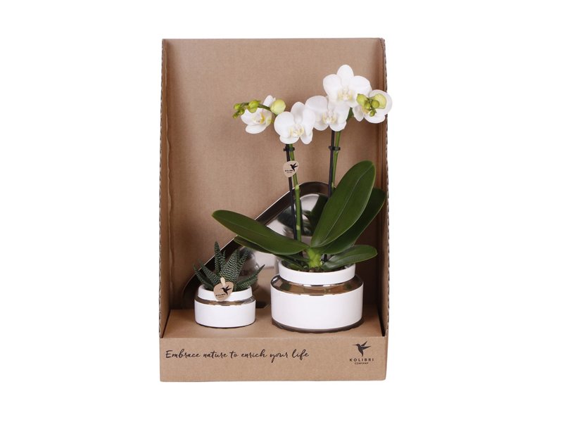 Botanical Giftset small - Luxury Silver Botanical Giftset small - Luxury Silver