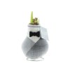 No Water Flowers® - Giletz Bowtie No Water Flowers® - Giletz Bowtie