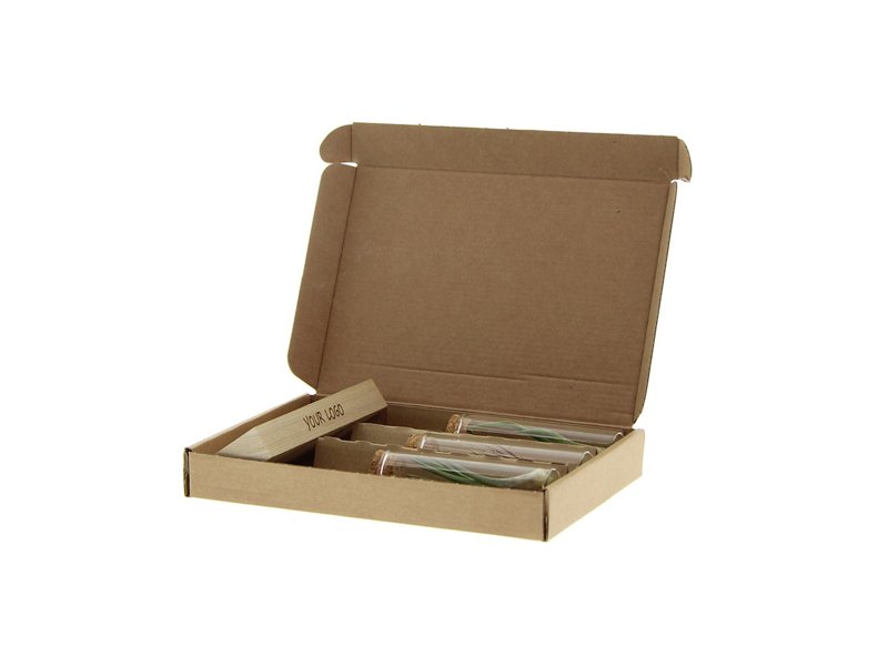 Luchtplantjes op houtje in brievenbusdoos - large Luchtplantjes op houtje in brievenbusdoos - large