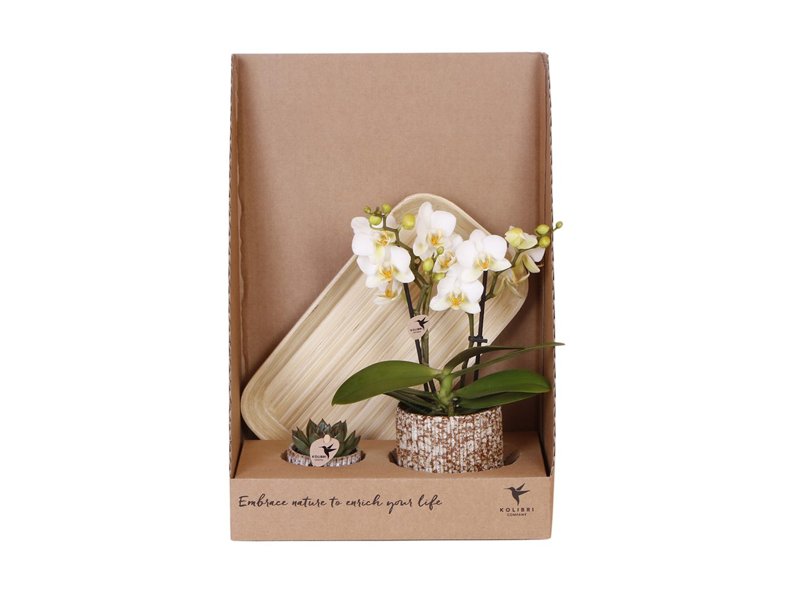 Botanical Giftset small - Wild Serenity Botanical Giftset small - Wild Serenity