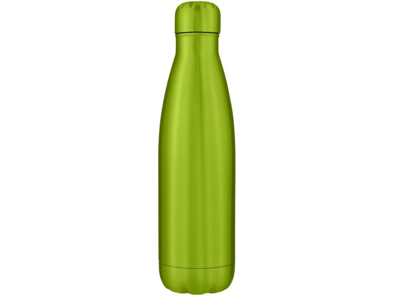 Cove vacuüm geïsoleerde roestvrijstalen fles van 500 ml Cove vacuüm geïsoleerde roestvrijstalen fles van 500 ml